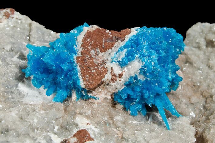 Vibrant Blue Cavansite Clusters on Stilbite - India #176805